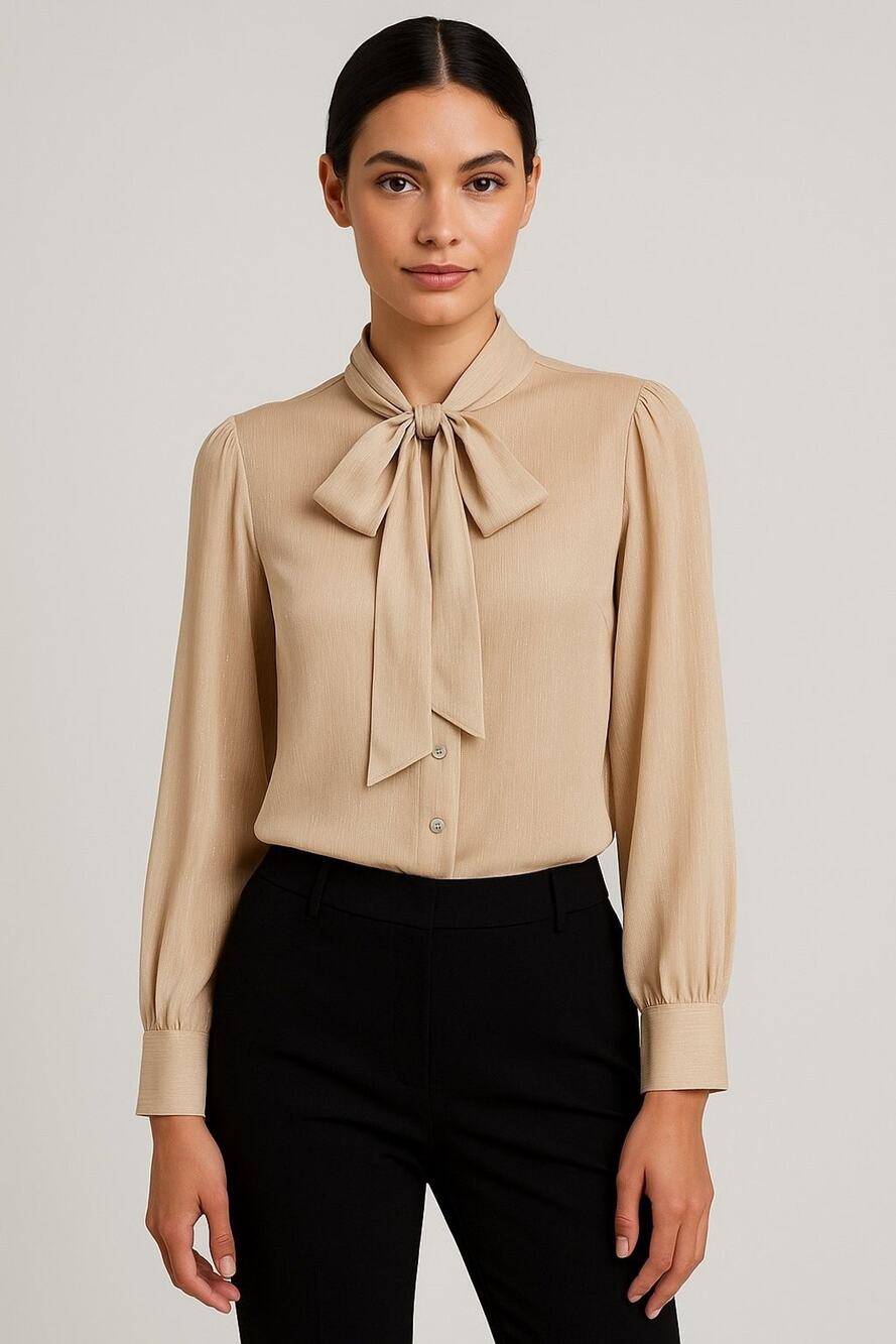 Sweet Rain Beige Metallic Sheer Blouse with Neck Tie & Button Cuffs – Size L